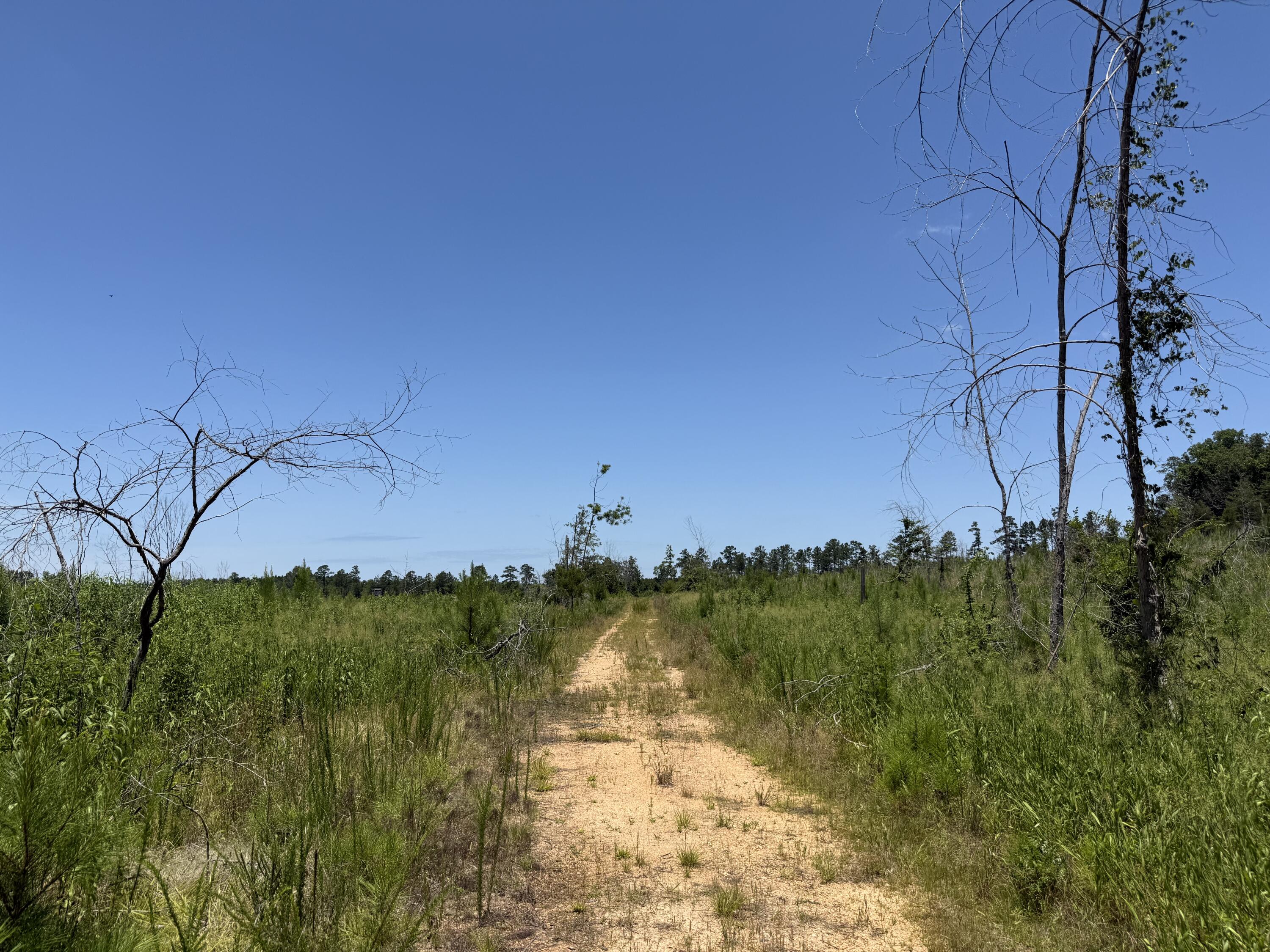 0 Halsellville Road Chester, SC 29706 - Photo 8 of 13 Photo Jun 20, 1 09 18 PM