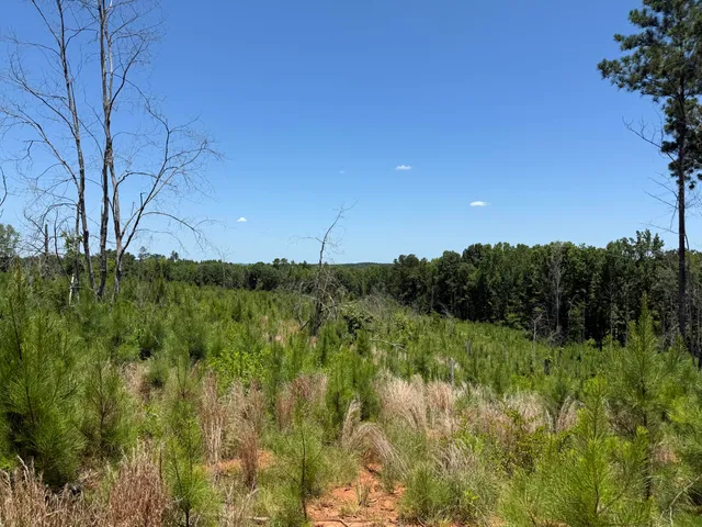 $408,600 | 0 Halsellville Road, Chester, SC 29706