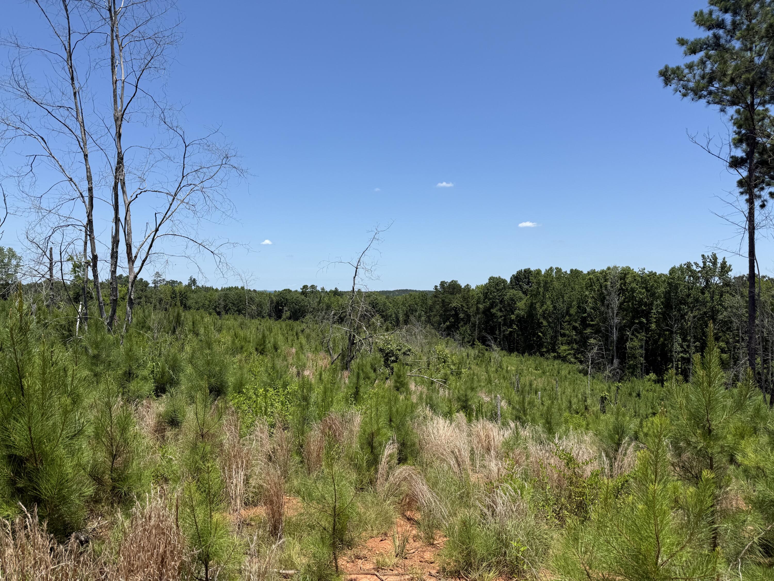 0 Halsellville Road Chester, SC 29706 - Photo 9 of 13 Photo Jun 20, 12 58 10 PM