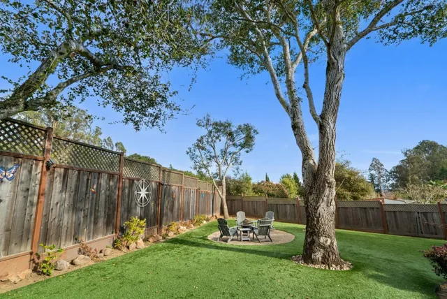 a view of a backyard with potted plants and large trees