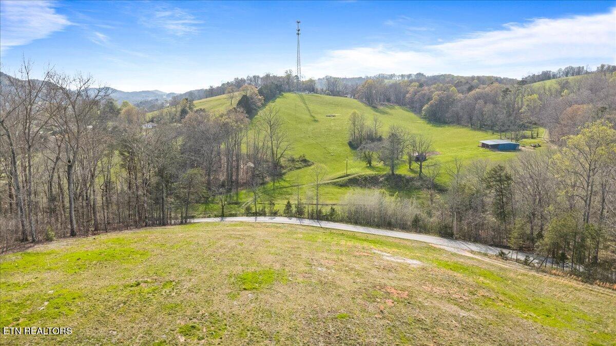 0 Hubbs Grove Road Maynardville, TN 37807 - Photo 8 of 15 Hillside-Mountain-Views-Rural