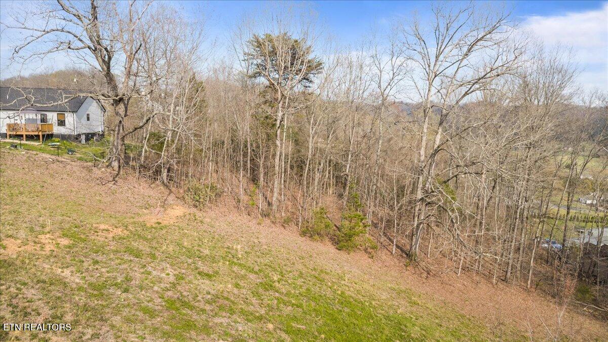 0 Hubbs Grove Road Maynardville, TN 37807 - Photo 10 of 15 Wooded-Perimeter-Privacy