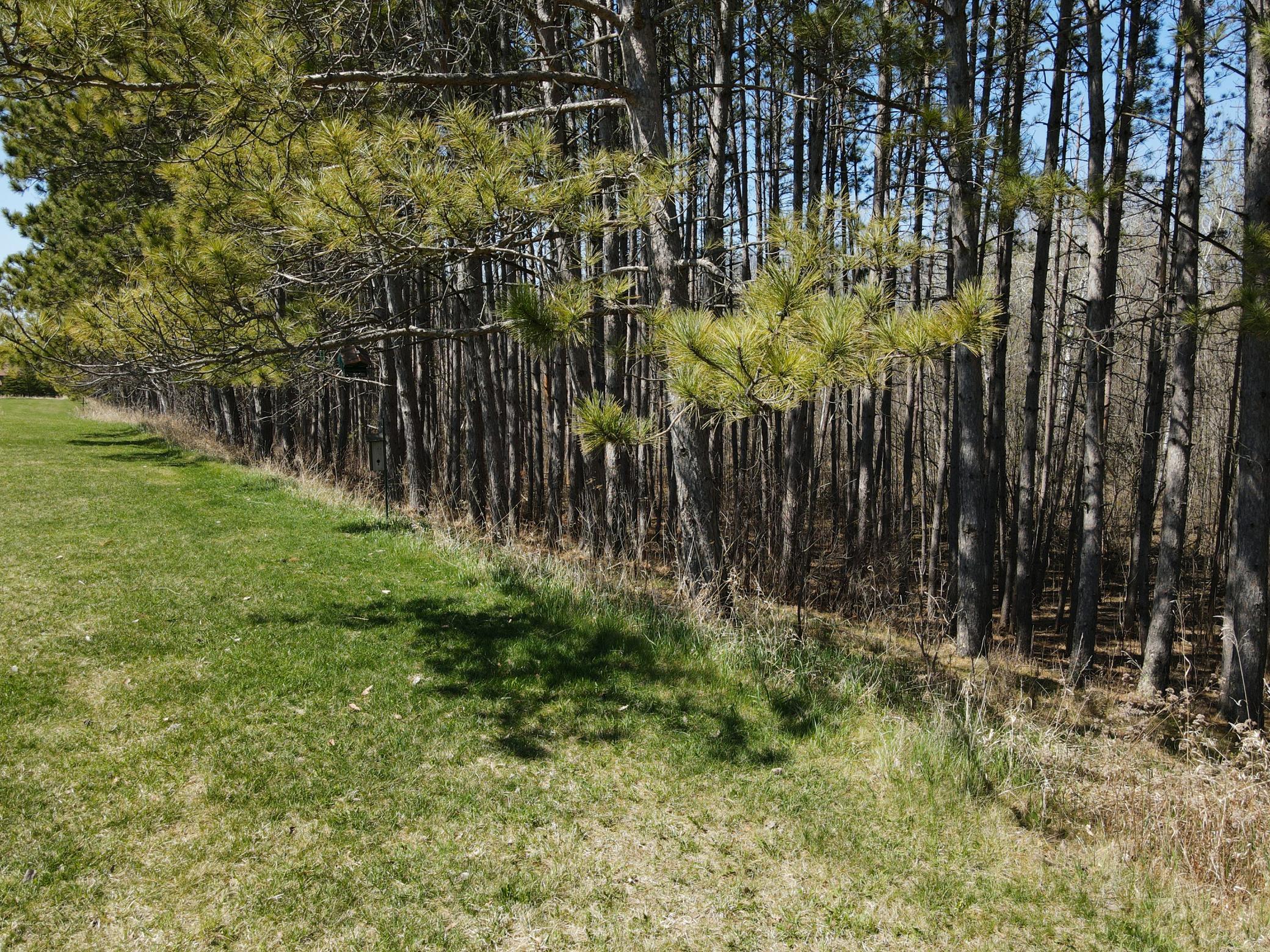 38922 Christie Lane Cohasset, MN 55721 - Photo 28 of 31