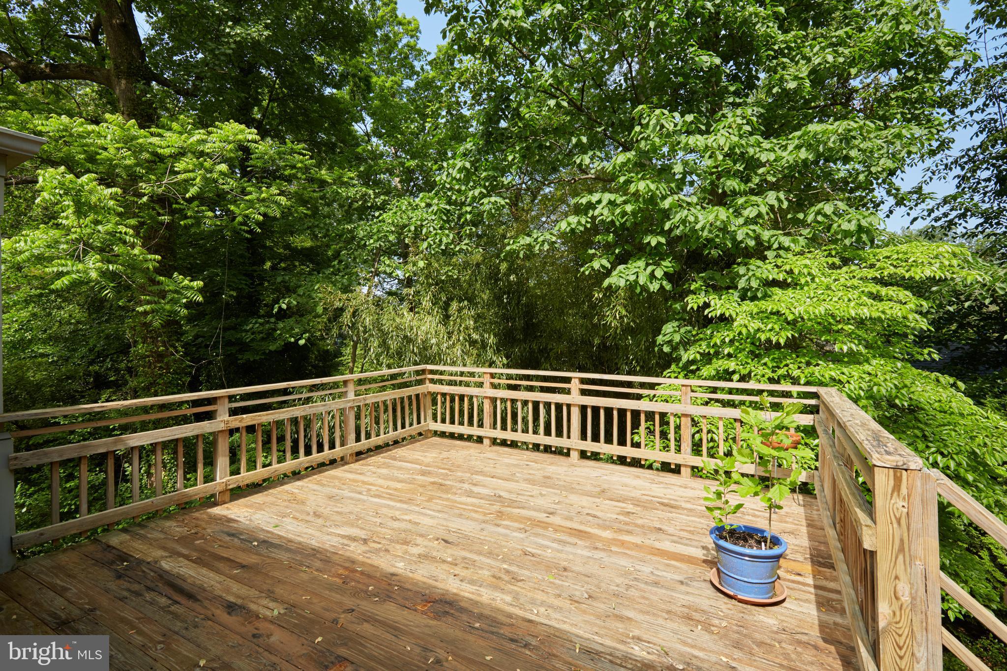 6433 Wiscasset Road Bethesda, MD 20816 - Photo 41 of 49 Gallery Image 41