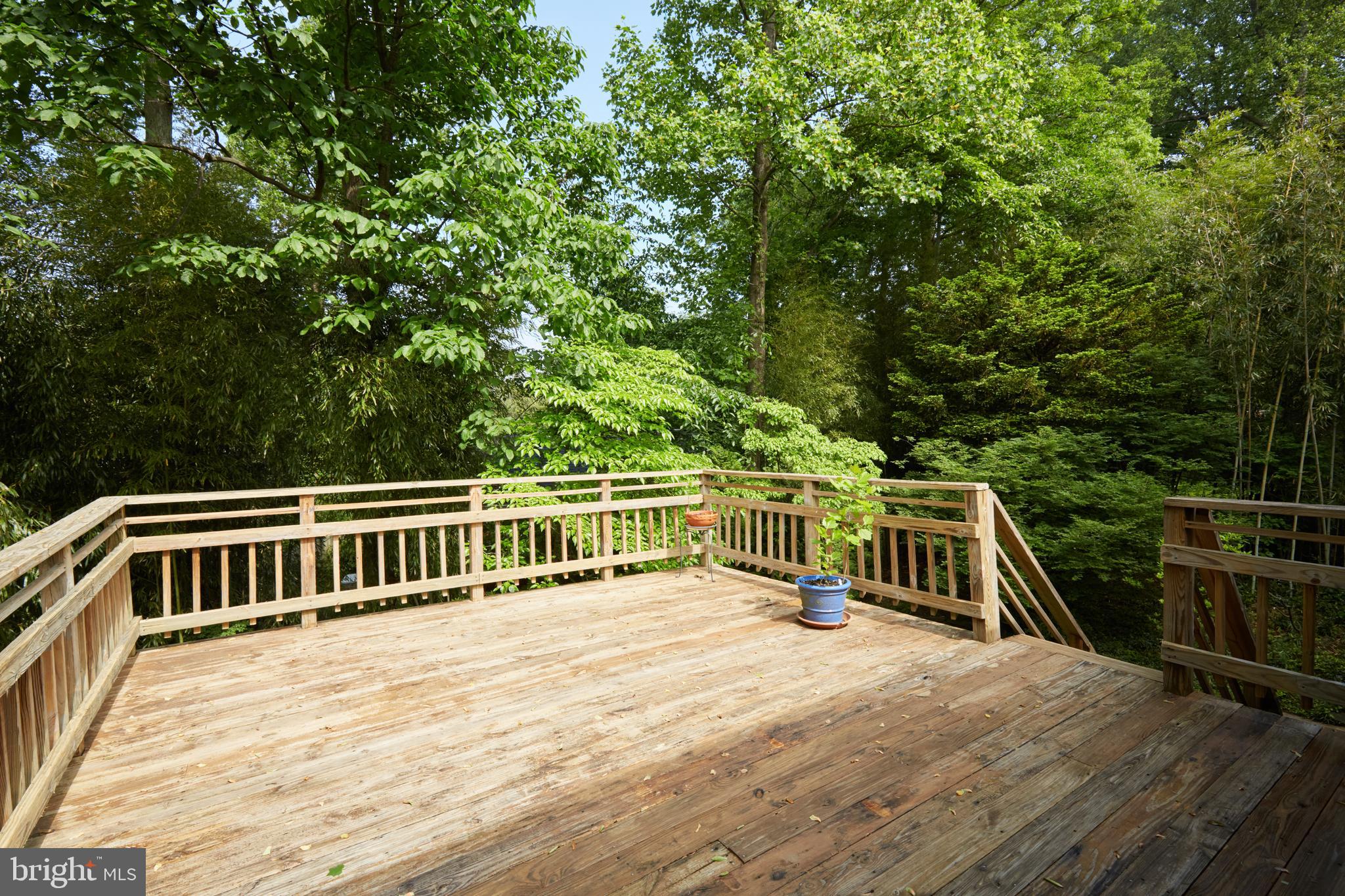 6433 Wiscasset Road Bethesda, MD 20816 - Photo 42 of 49 Gallery Image 42