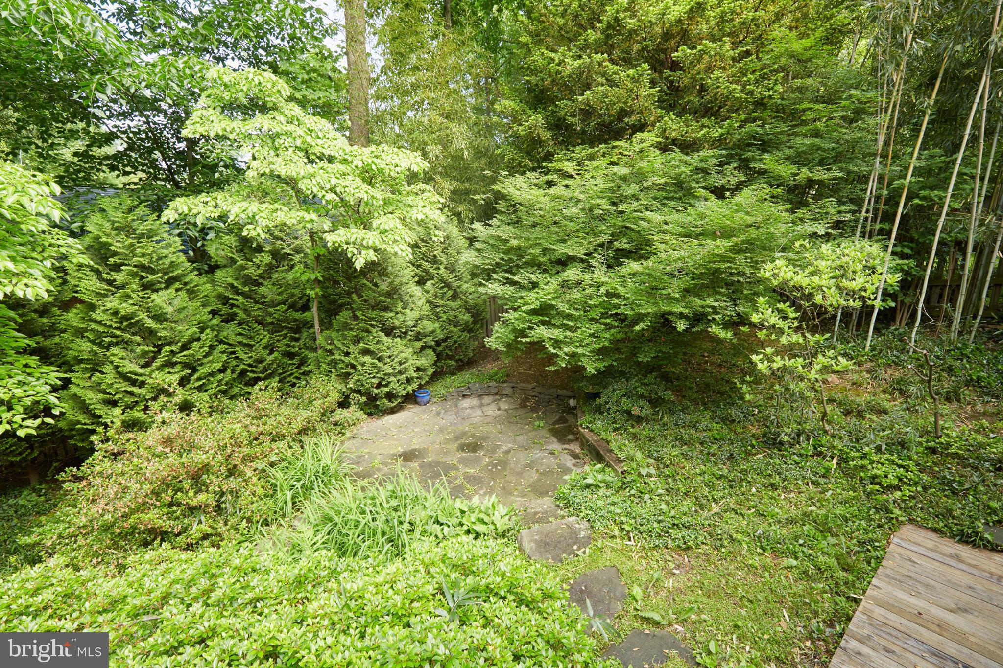 6433 Wiscasset Road Bethesda, MD 20816 - Photo 43 of 49 Gallery Image 43