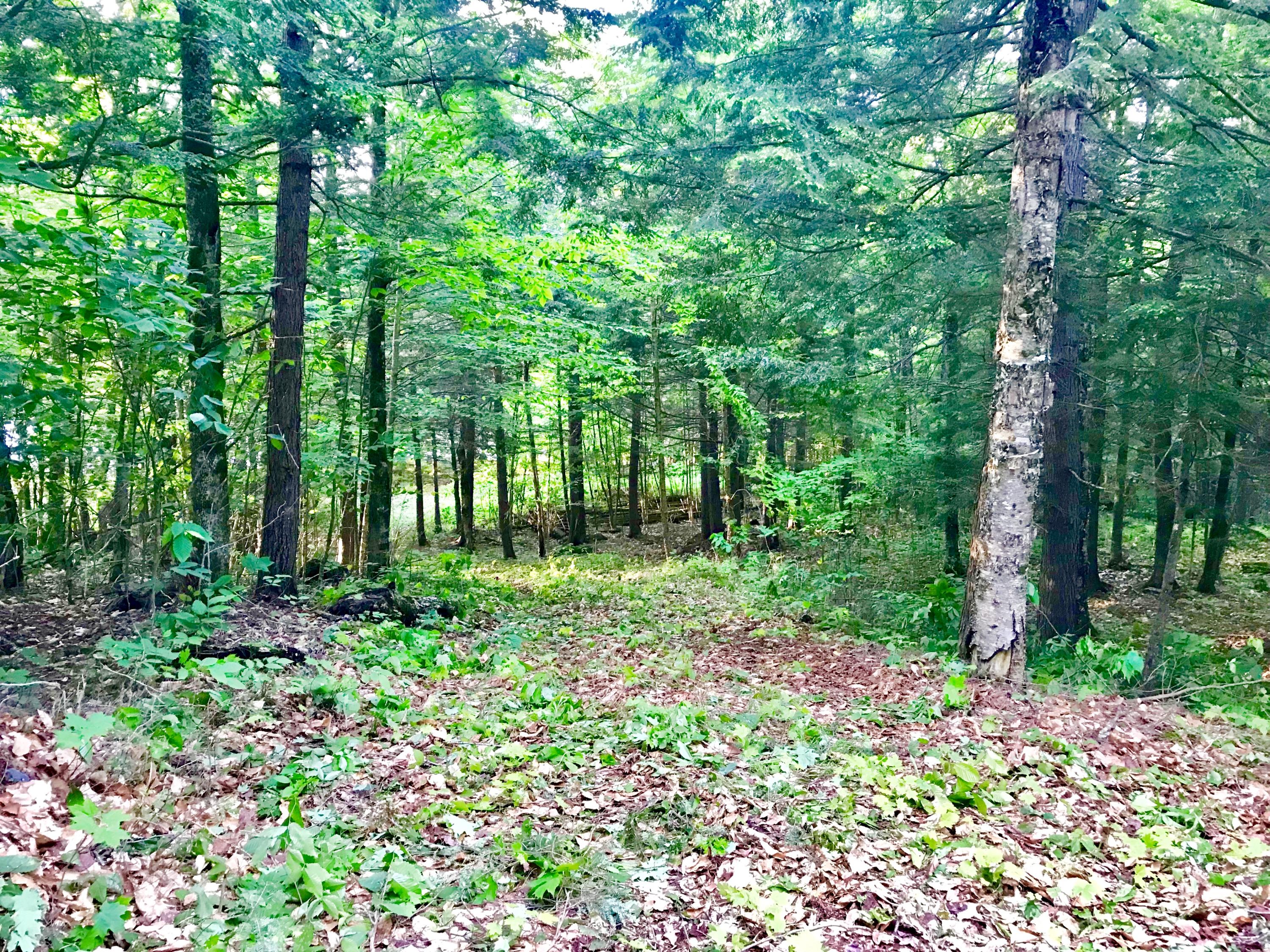 28 East Lot Drive, Unit 4 Sebec, ME 04481 - Photo 9 of 34 Surveyed