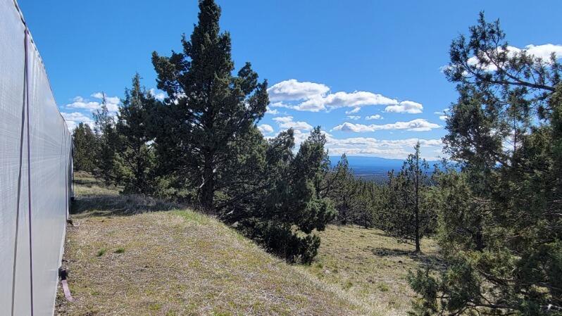 1000 Southeast Wolf Road Prineville, OR 97754 - Photo 27 of 30 image000004 (1)