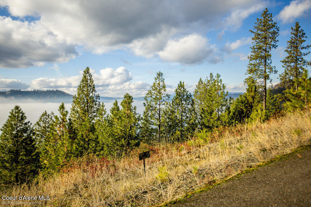 Nna Ledgestone Road Harrison, ID 83833 - Photo 12 of 16 Landscape