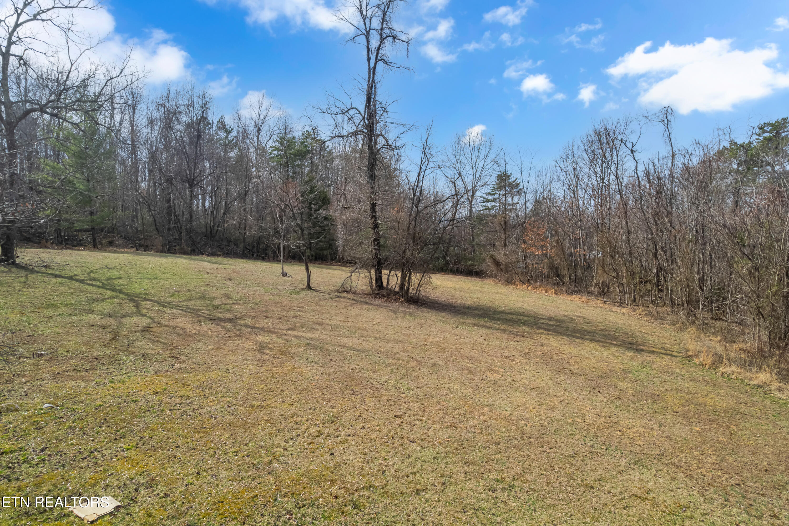 Collier Loop Dandridge, TN 37725 - Photo 11 of 14 3 lot-110
