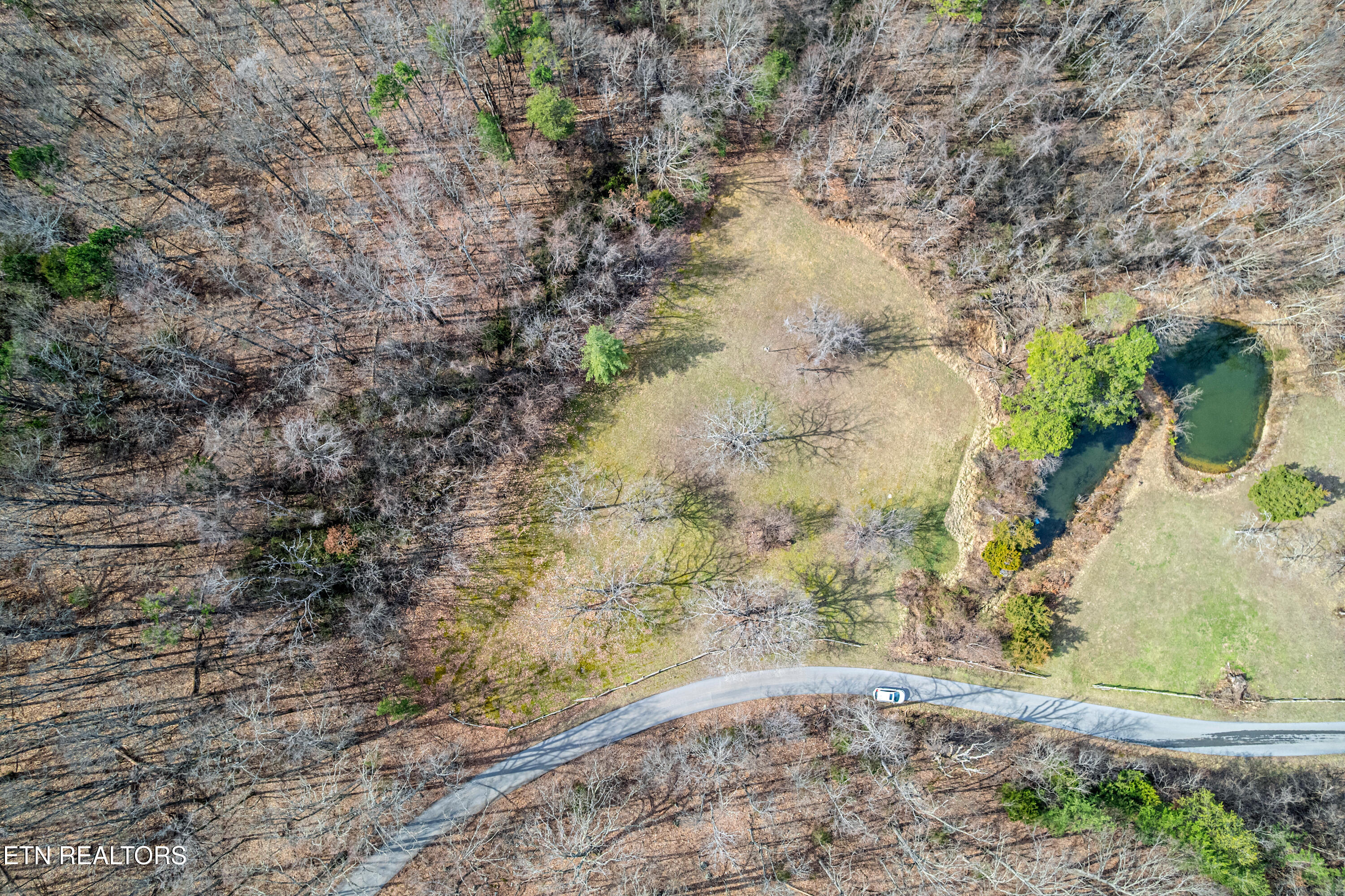 Collier Loop Dandridge, TN 37725 - Photo 2 of 14 3 lot-105