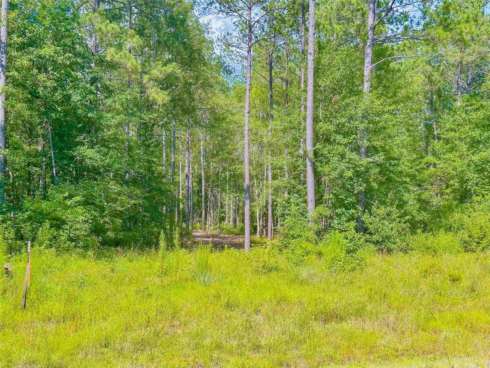 9010 Carter Ranch Road Kountze, TX 77625 - Photo 6 of 8 Gallery Image 6