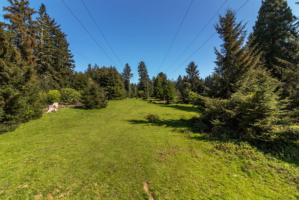 1255 Alder Grove Road Arcata, CA 95521 - Photo 69 of 72