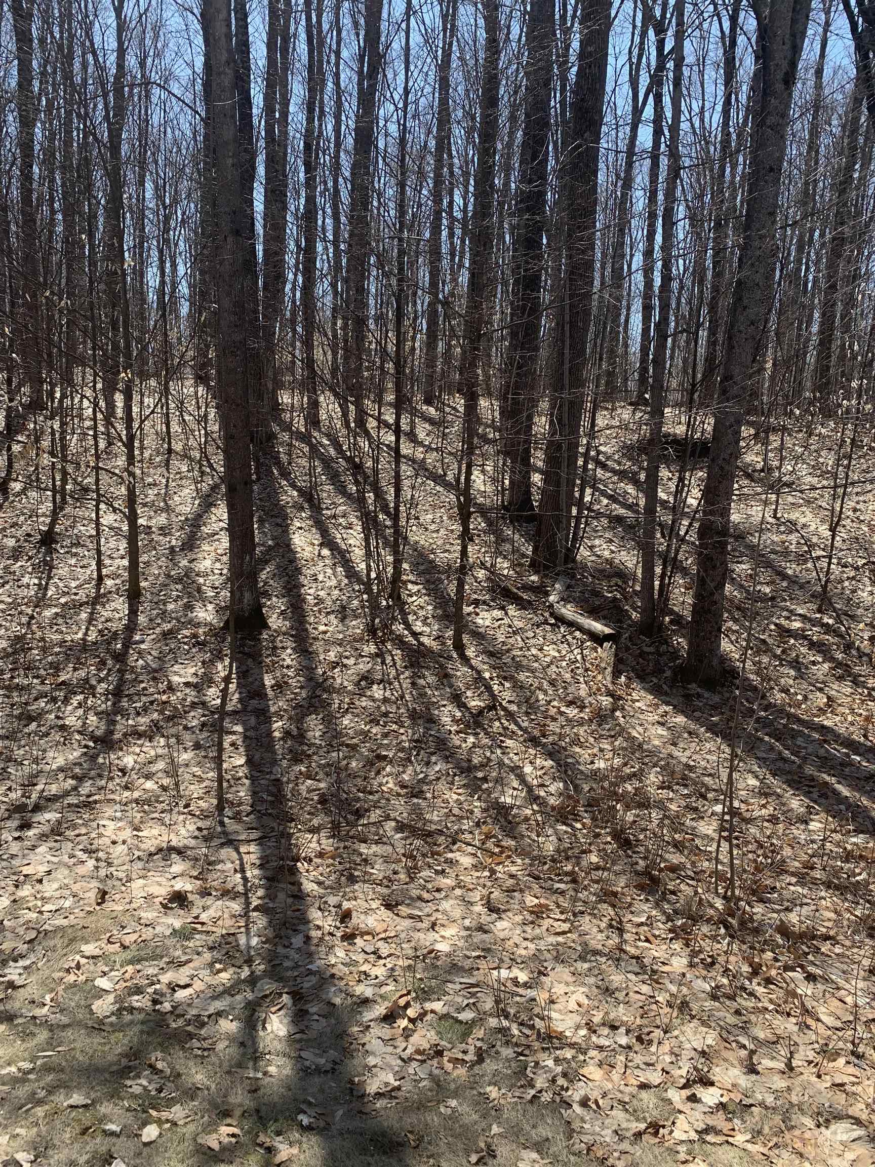 158 Raptor Run Bellaire, MI 49615 - Photo 3 of 6