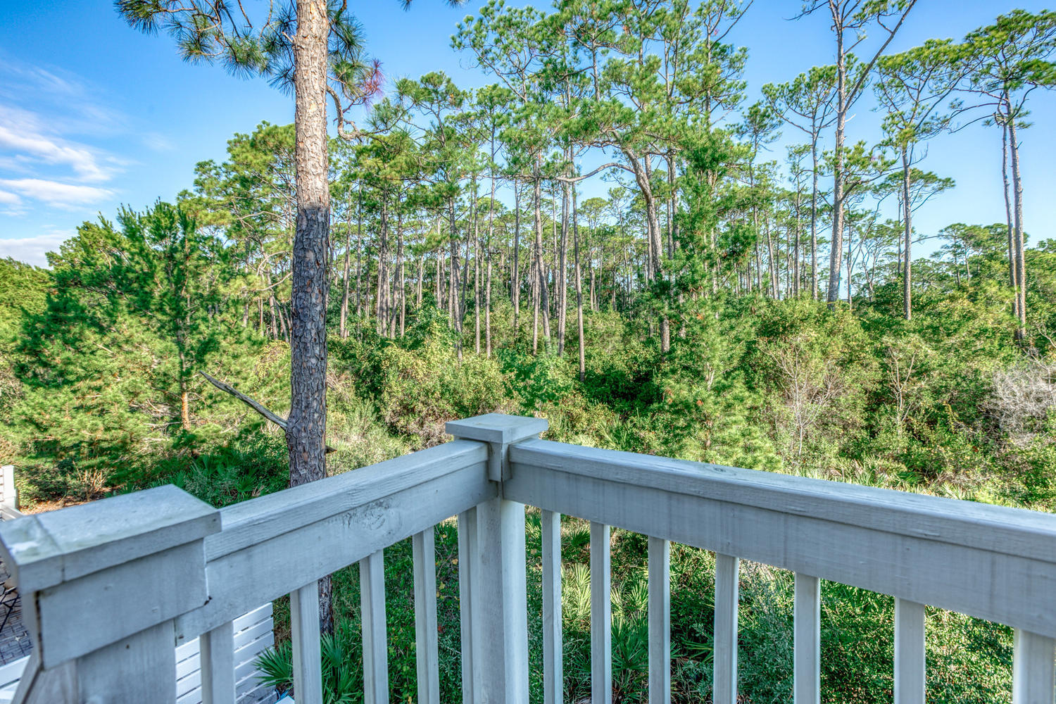 105 Lifeguard Loop West Inlet Beach, FL 32461 - Photo 17 of 45 a view of a wooden deck and forest