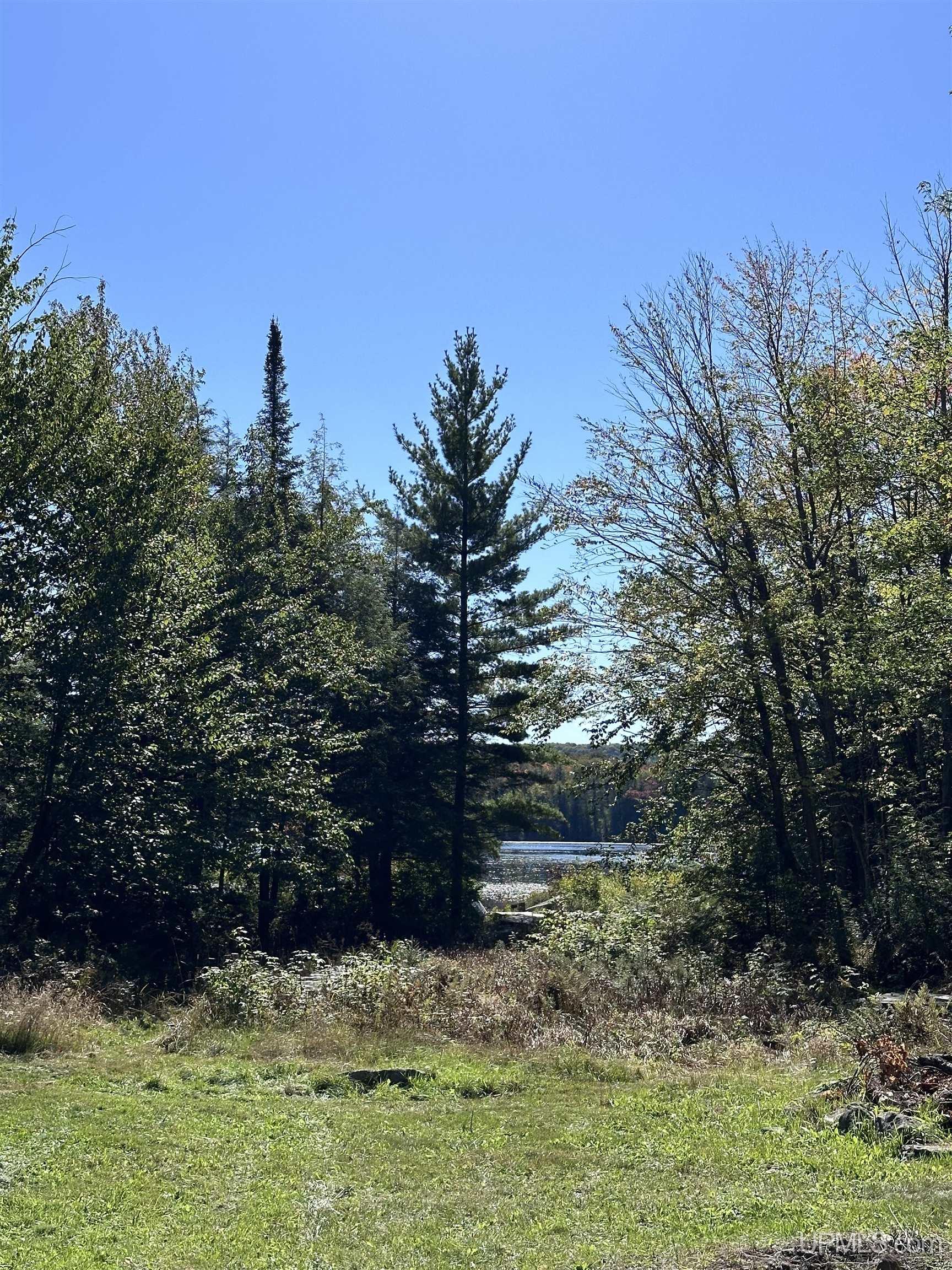 Tbd Tbd Howe Lake Road Deerton, MI 49822 - Photo 45 of 48