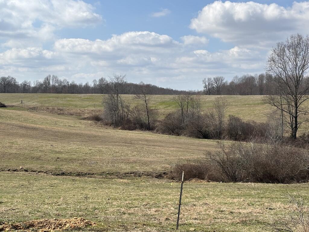 0 Allen Schoolhouse Road Columbia, KY 42728 - Photo 8 of 13 5