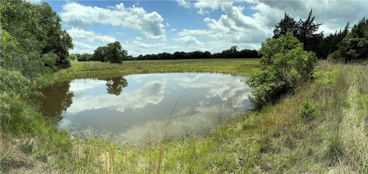 a view of a pathway both side of grassy field with shrub