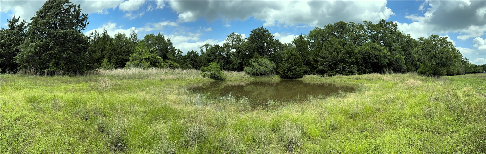 Tbd Tbd Bryan Place Lane Hearne, TX 77859 - Photo 3 of 10 a view of a lush green space