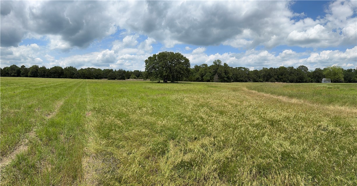 Tbd Tbd Bryan Place Lane Hearne, TX 77859 - Photo 6 of 10 a view of a field with an ocean
