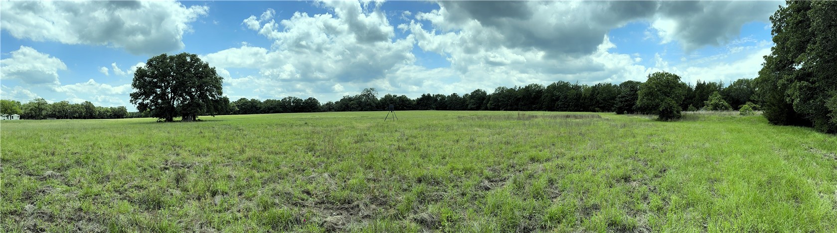 Tbd Tbd Bryan Place Lane Hearne, TX 77859 - Photo 7 of 10 a view of field with trees in the background