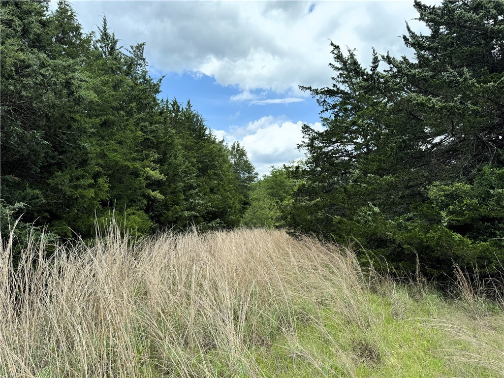 Tbd Tbd Bryan Place Lane Hearne, TX 77859 - Photo 8 of 10 a view of a lake