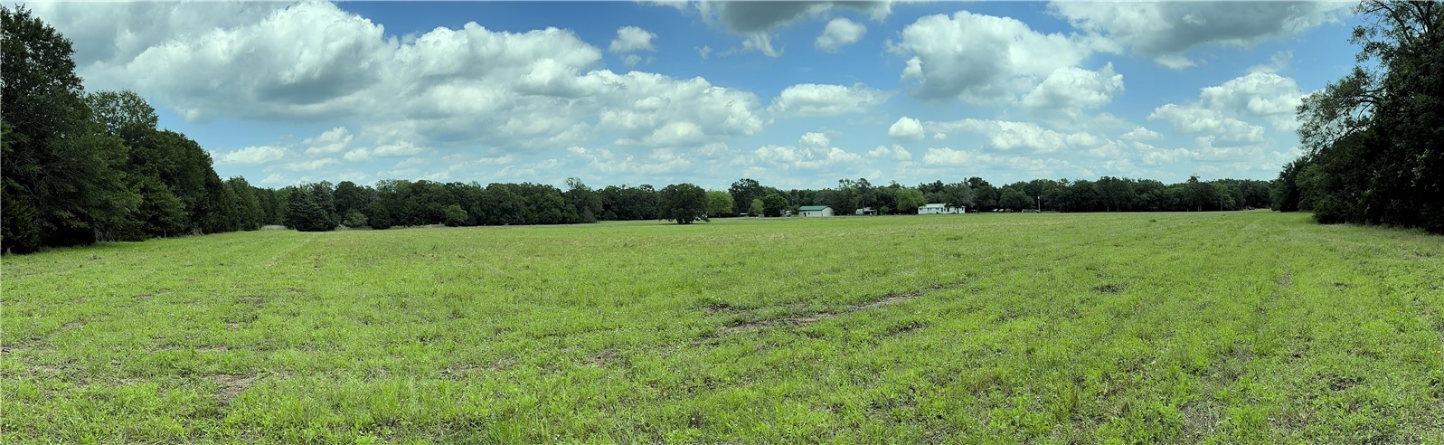 Tbd Tbd Bryan Place Lane Hearne, TX 77859 - Photo 9 of 10 a view of grassy field with trees in the background