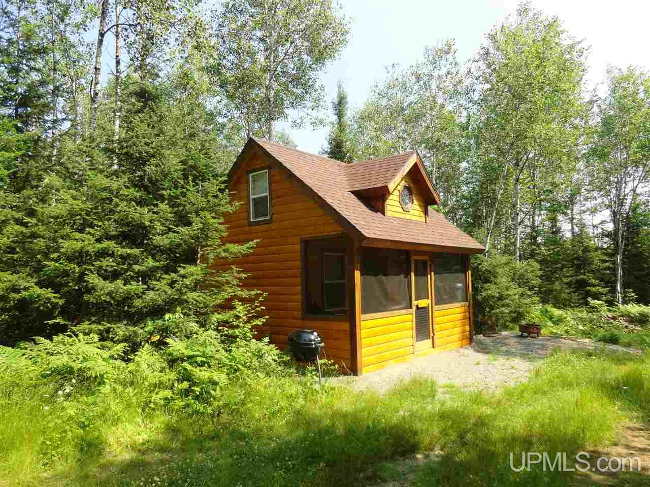8878 Co Road Republic, MI 49879 - Photo 3 of 34
