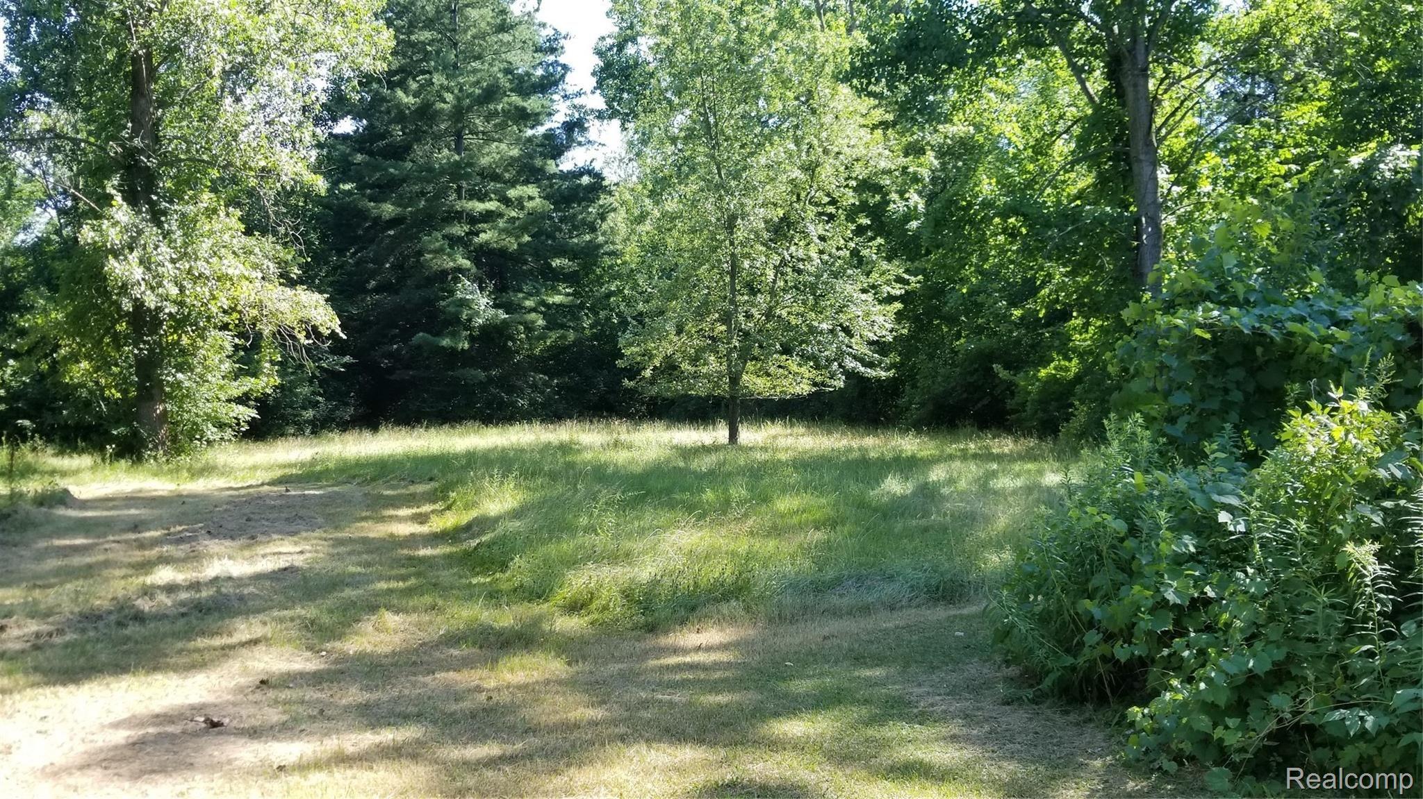 3635 Lapeer Road Port Huron, MI 48060 - Photo 5 of 20 back lot.jpg