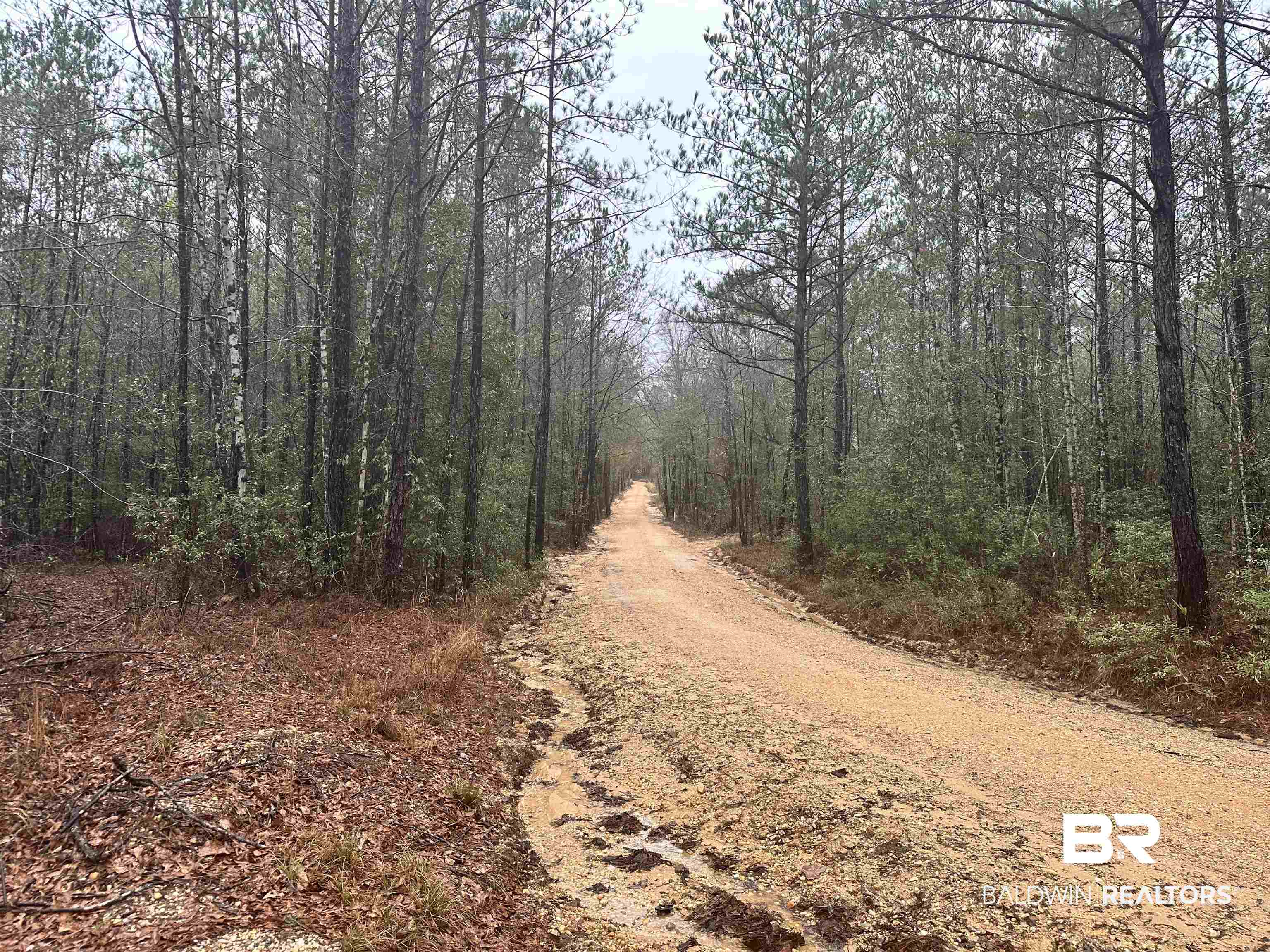4549 J D Howard Road Tibbie, AL 36583 - Photo 33 of 33
