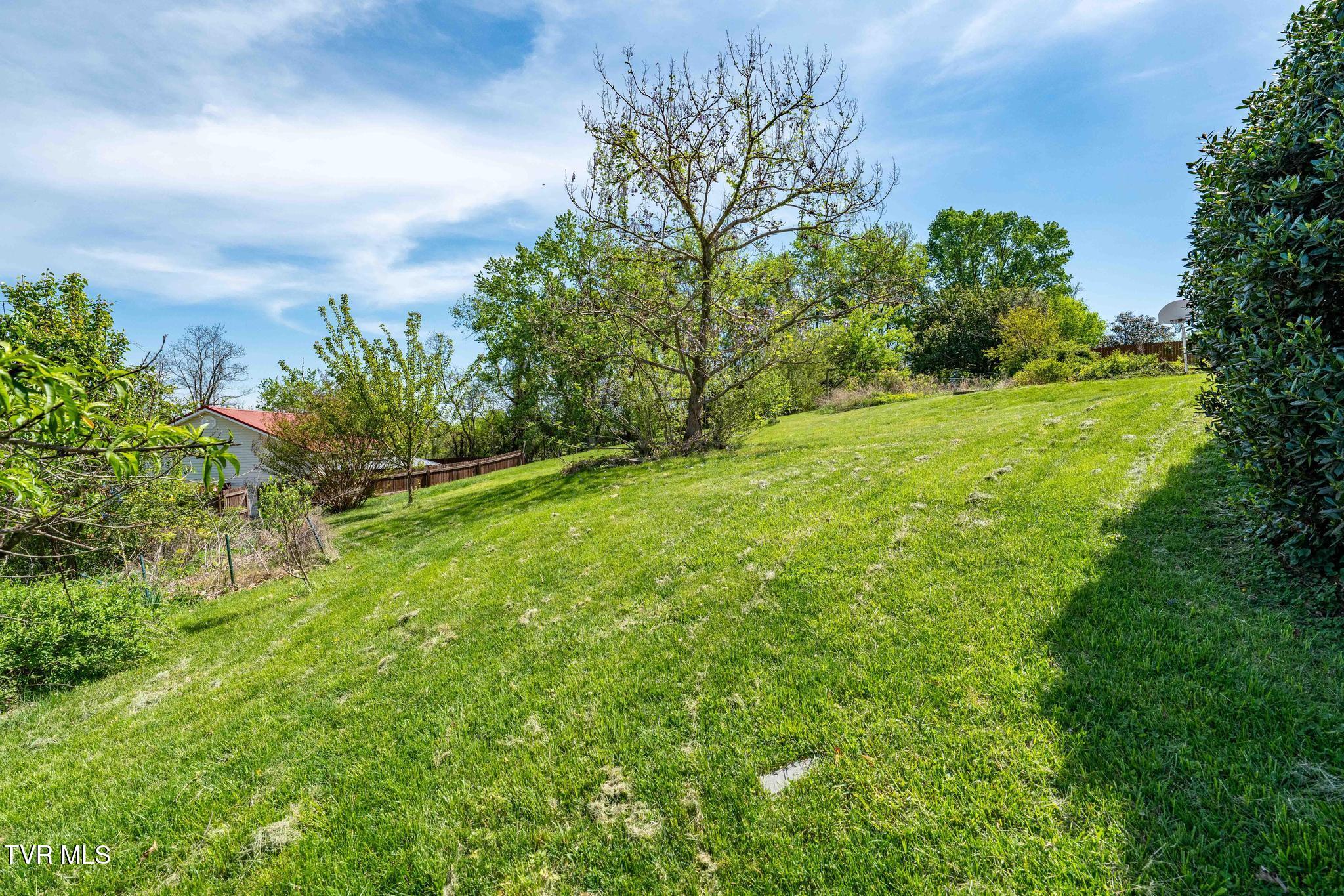 126 Charlem Hills Road Jonesborough, TN 37659 - Photo 46 of 51 126 Charlem Hills Road (21 of 51)