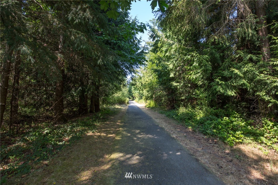226 Guy Kelly Road Port Angeles, WA 98362 - Photo 35 of 40 a view of a forest with trees