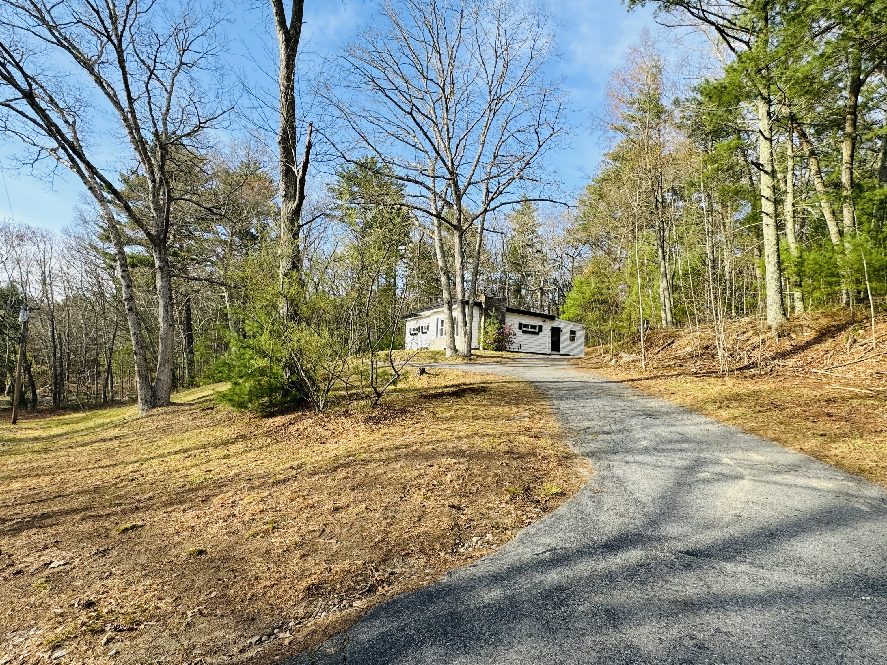 a view of road with large trees