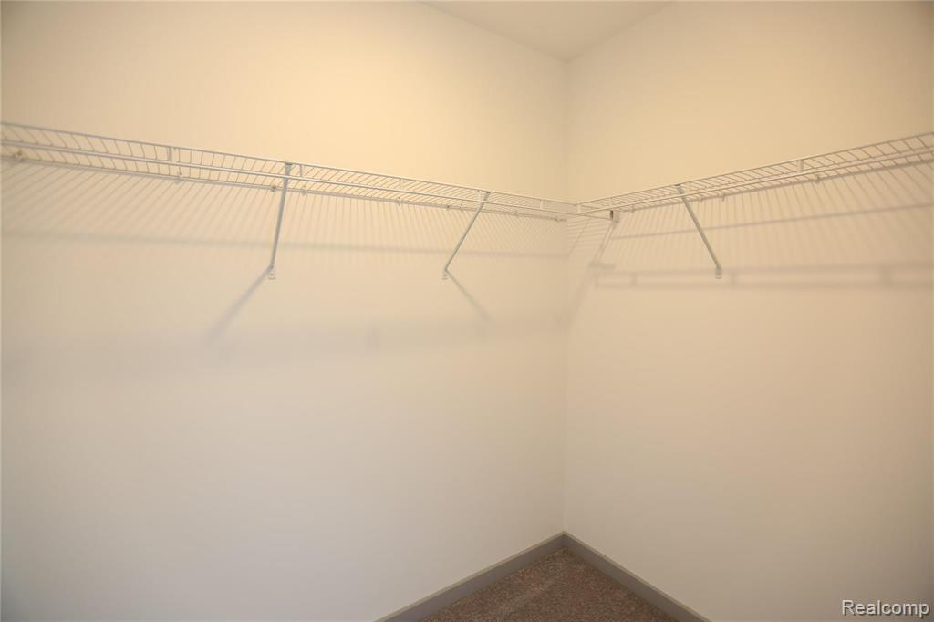 293 North 2nd Street, Unit 105 Brighton, MI 48116 - Photo 21 of 29