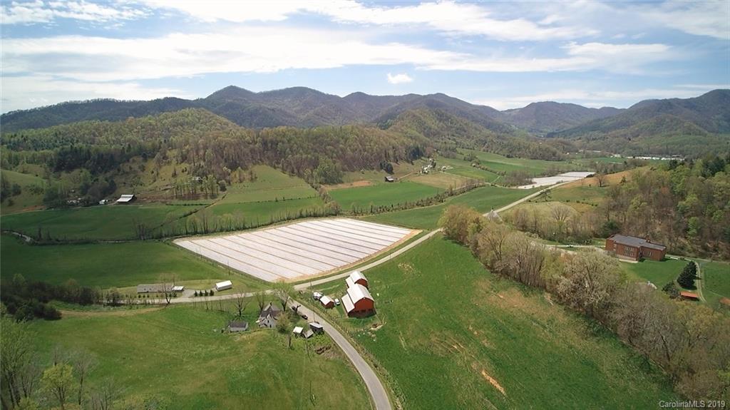 51 Clark Cove Road Leicester, NC 28748 - Photo 2 of 23 Gallery Image 2