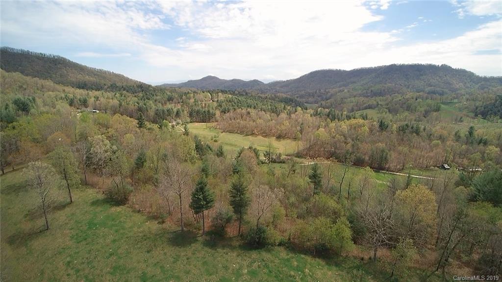 51 Clark Cove Road Leicester, NC 28748 - Photo 11 of 23 Gallery Image 11
