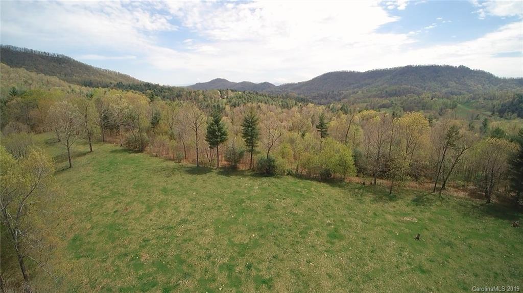 51 Clark Cove Road Leicester, NC 28748 - Photo 3 of 23 Gallery Image 3