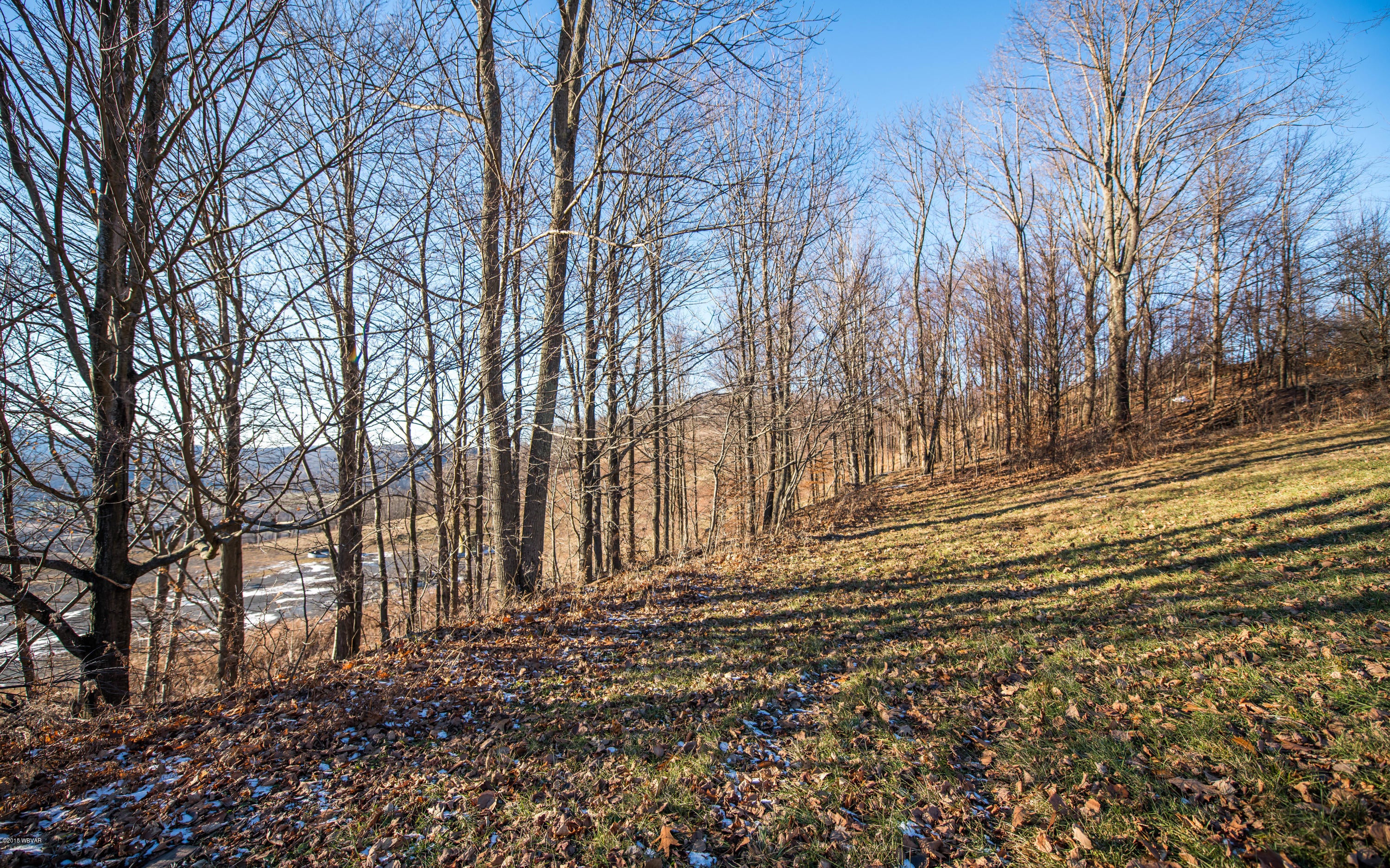 885 Frost Road Covington, PA 16917 - Photo 33 of 39 Woods