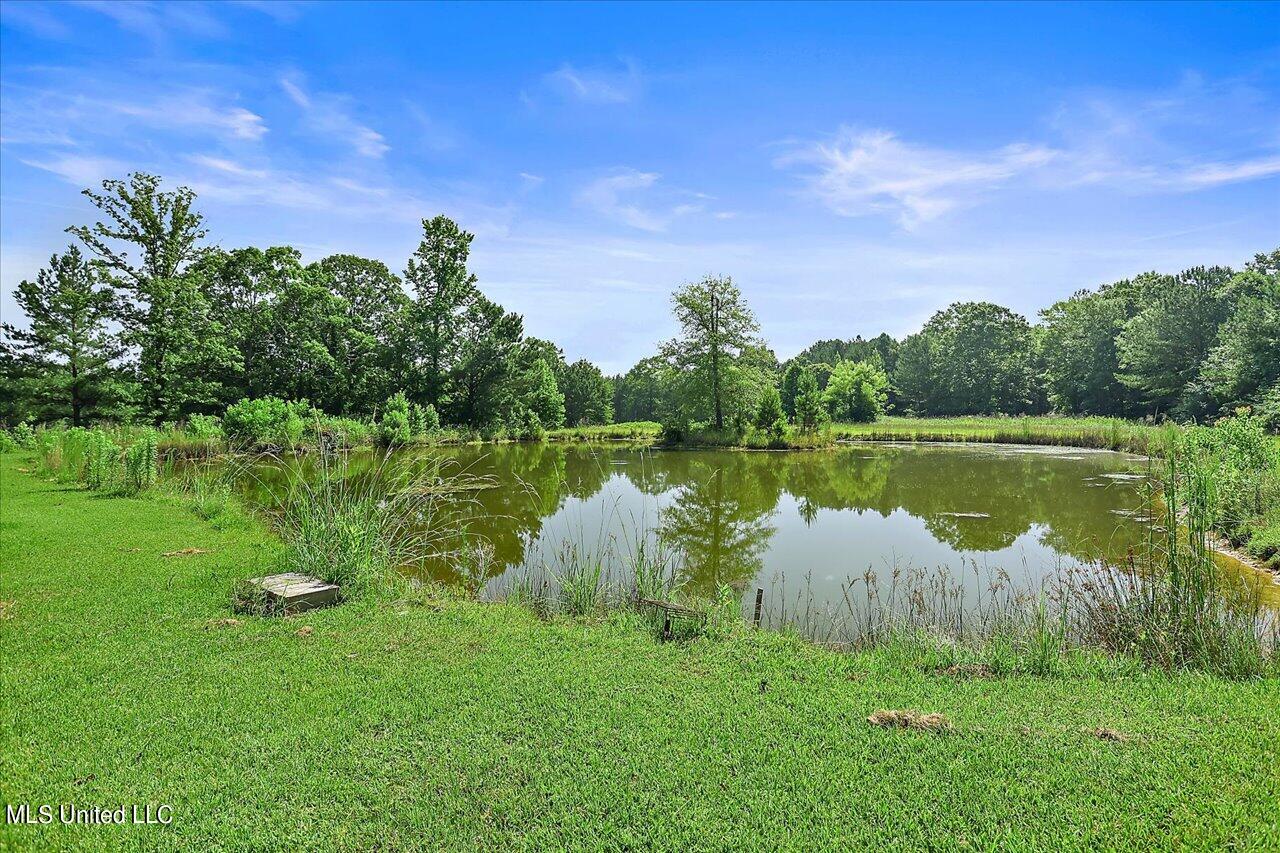 171 Henry Road Braxton, MS 39044 - Photo 26 of 52 26-171 Henry Rd
