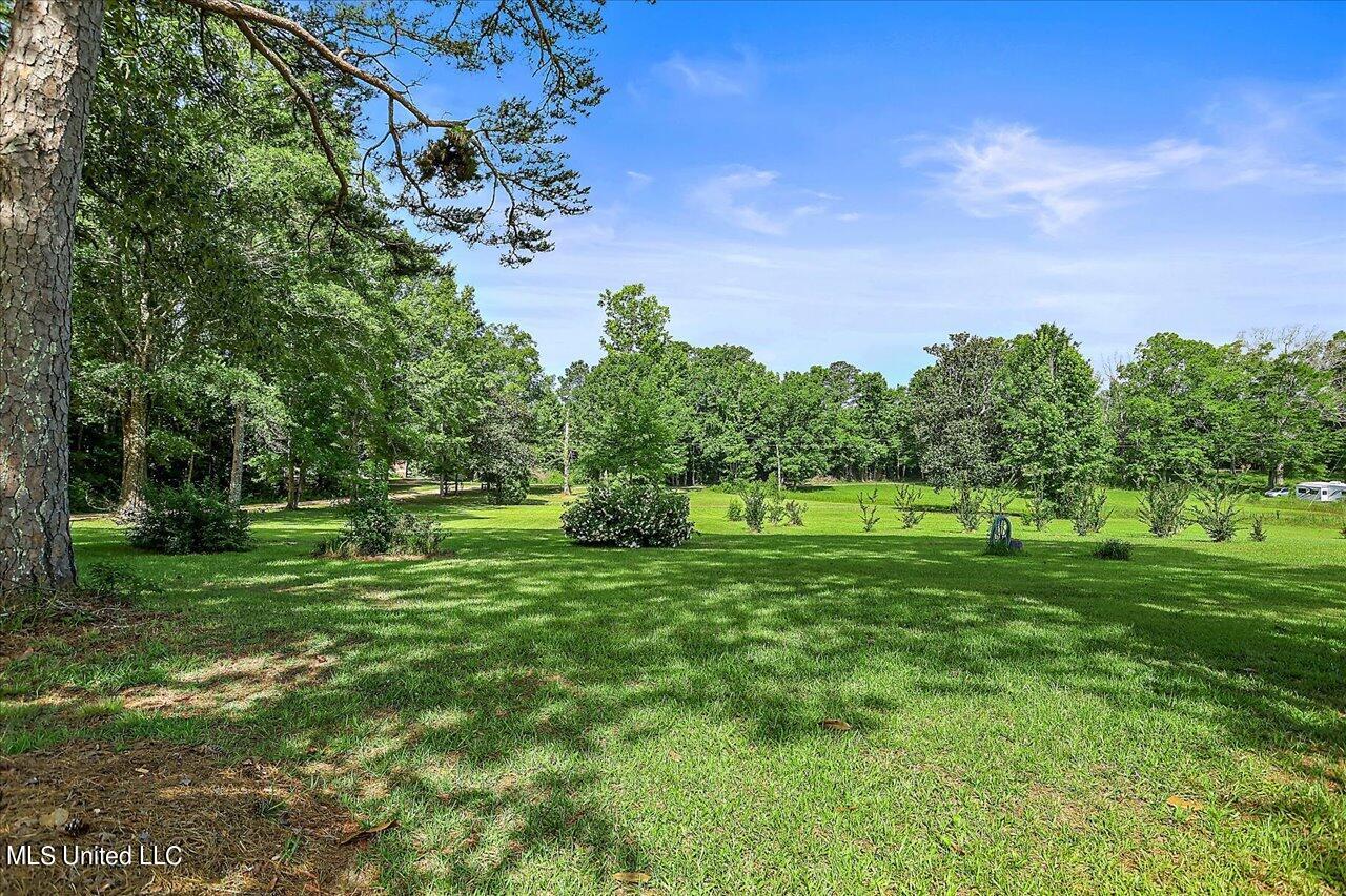 171 Henry Road Braxton, MS 39044 - Photo 3 of 52 03-171 Henry Rd