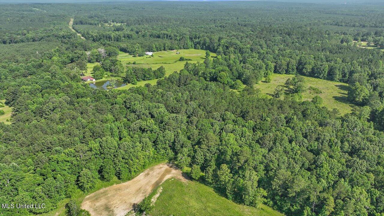 171 Henry Road Braxton, MS 39044 - Photo 45 of 52 45-171 Henry Rd