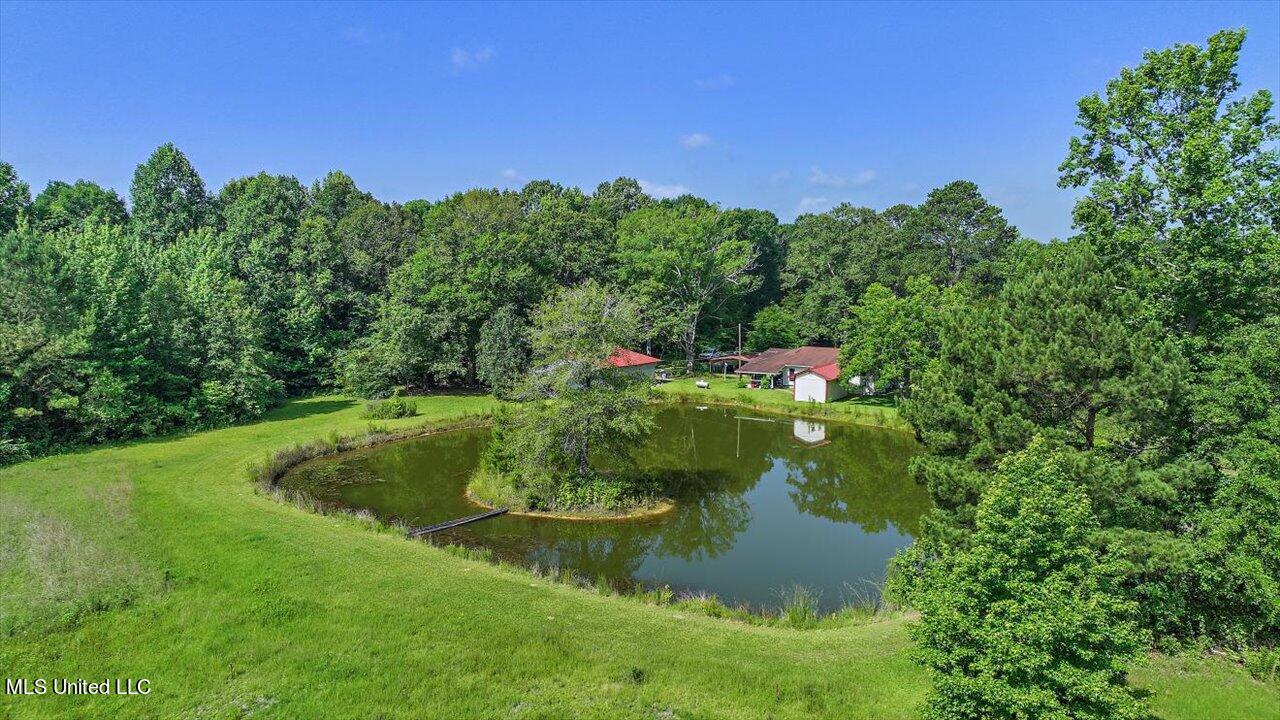 171 Henry Road Braxton, MS 39044 - Photo 52 of 52 52-171 Henry Rd