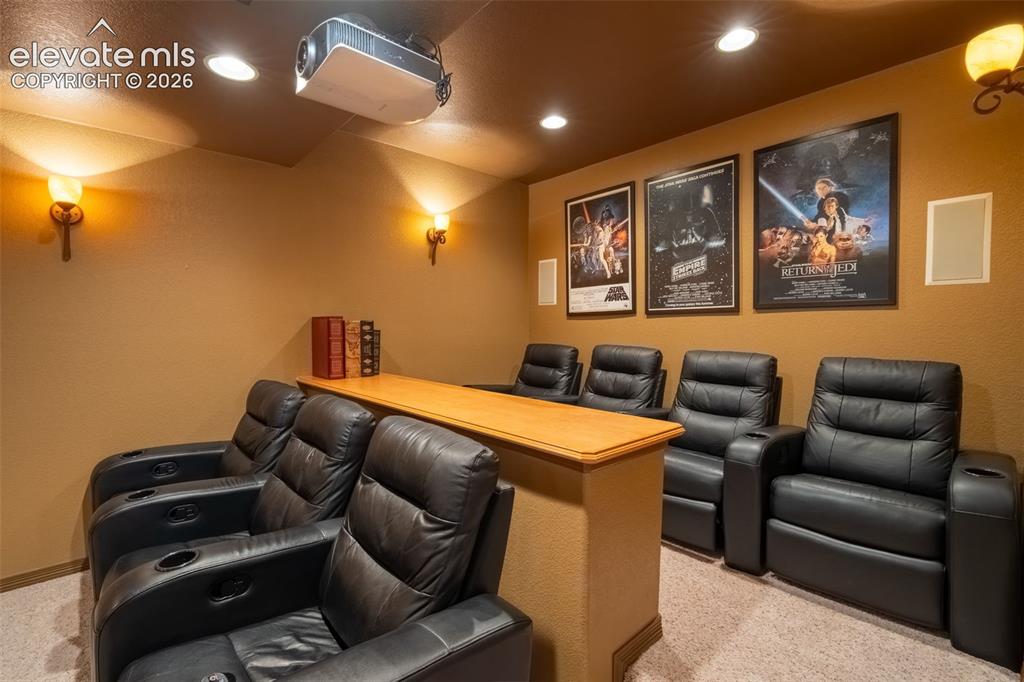 2385 Antelope Ridge Trail Parker, CO 80138 - Photo 46 of 47 MOVIE ROOM