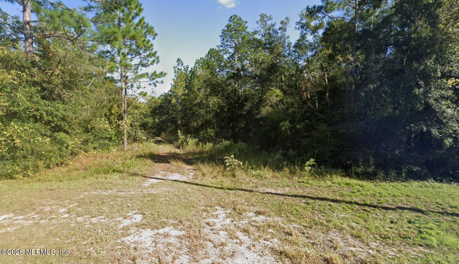 234 Portland Street Hawthorne, FL 32640 - Photo 2 of 2 a view of outdoor space and yard