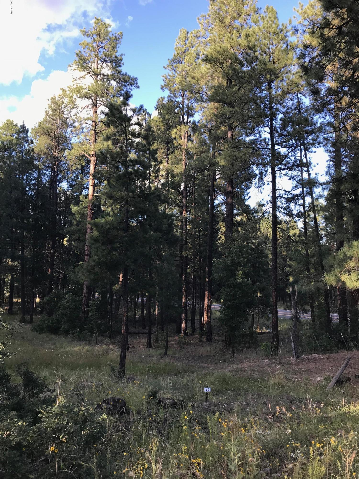 2071 St Alpine Az 85920 Alpine, AZ 85920 - Photo 2 of 5