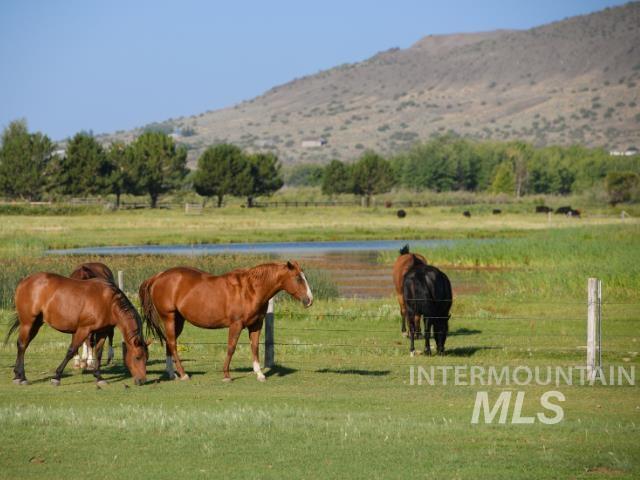 6891 West 2000 South Rexburg, ID 83440 - Photo 23 of 50 Stable featuring a view of rural / pastoral area and a mountain view