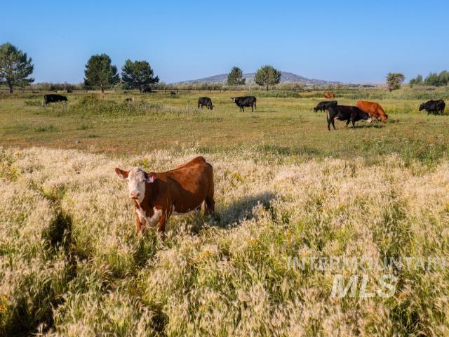 6891 West 2000 South Rexburg, ID 83440 - Photo 33 of 50 View of yard with a view of rural / pastoral area