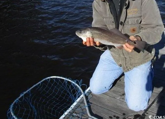 $38,000 | 40 Pineberry Drive, Georgetown, SC 29440