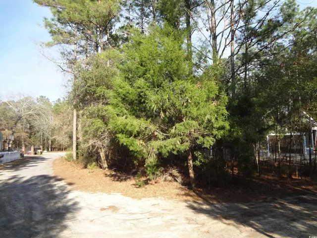 $38,000 | 40 Pineberry Drive, Georgetown, SC 29440