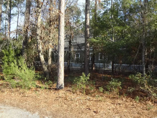 $38,000 | 40 Pineberry Drive, Georgetown, SC 29440